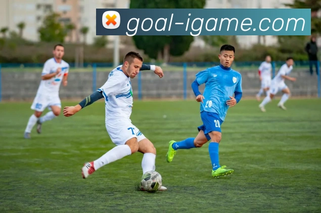 爱游戏服务体系